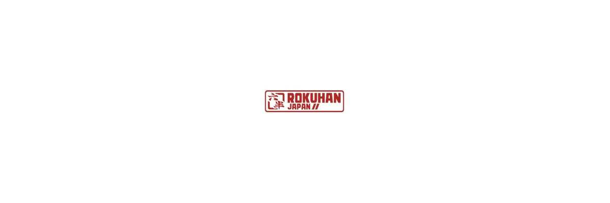 ROKUHAN bietet ein Spur Z-Gleissystem mit einem...