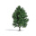BUSCH H0 Espe 150 mm, Sommer