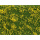 NOCH Foliage Wiese mit gelben Blumen