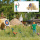 BUSCH H0 Action Set: Bogensch&uuml;tze mit Zielscheibe