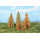 Heki L&auml;rchen herbstlich 14-18cm, 5 St&uuml;ck