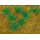 Faller H0 12 Farnpflanzen