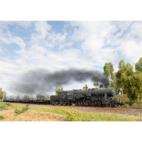 M&auml;rklin H0 AC Dampflokomotive Baureihe 52, DR, grau, digital Sound