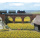 BUSCH N 96 Sonnenblumen