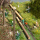 BUSCH H0 Action Set: Baumsch&auml;lung