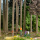 BUSCH H0 Action Set: Forstmarkierungen