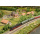 M&auml;rklin H0 AC Dampflokomotive BR 18 323, DB, digital Sound Rauch