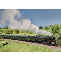M&auml;rklin H0 AC Dampflokomotive 141-R 1244 Mikado, SNCF, Ep. VI, digital Sound Rauch