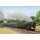 Trix H0 DC Dampflokomotive 141-R 1244 Mikado, SNCF, Ep. VI, digital Sound Rauch