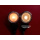Massoth LED Stecklampe 24V, vertikal, 6 St&uuml;ck