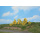 Heki 6 Forsythienstr&auml;ucher 3 - 6 cm