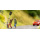 NOCH H0 Funny-Scenes &bdquo;Zu schnell"