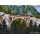 Kibri N/Z Viadukt Maggia eingleisig