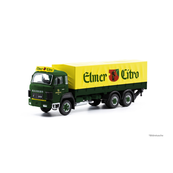 ACE Saurer D290B F6x4 Elmer Citro
