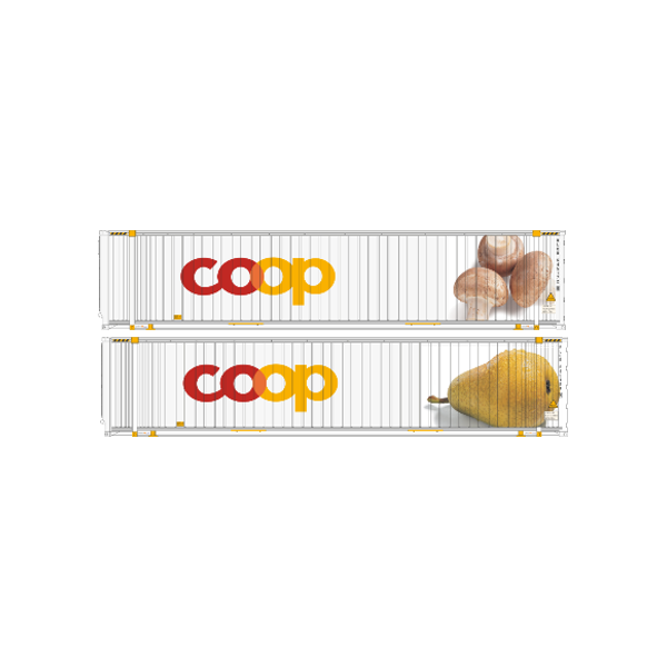 Aare Valley Models H0 Container 45 Fuss COOP Champignon - Birne