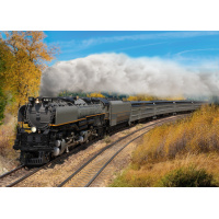 M&auml;rklin H0 AC Dampflokomotive 3977 Challenger Union Pacific, digital Sound Rauch, MHI