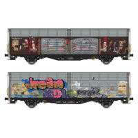 Albert Modell H0 DC Schiebewandwagen Hbbillns, SBB, Graffiti